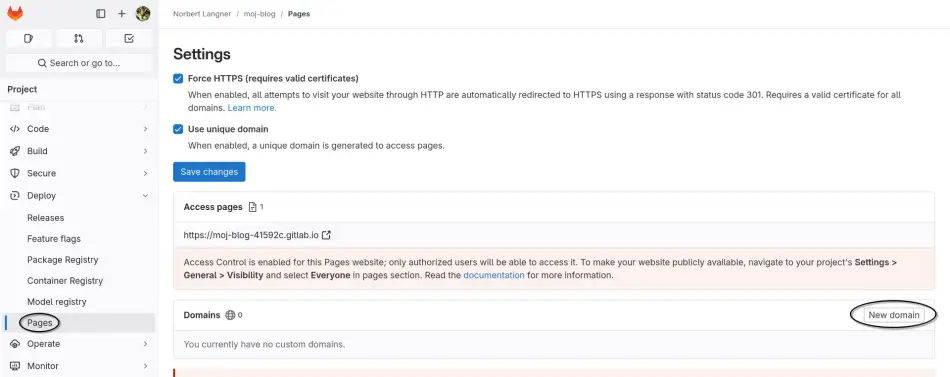 Widok na panel konfiguracyjny usługi GitLab Pages ze wskazaniem na przycisk "New
domain"